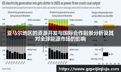亚马尔地区的资源开发与国际合作前景分析及其对全球能源市场的影响